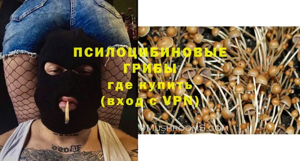 амф Краснотурьинск
