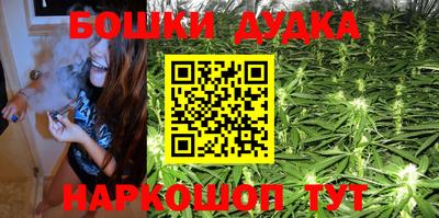 дживик Лесосибирск