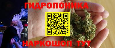 крисы Малгобек