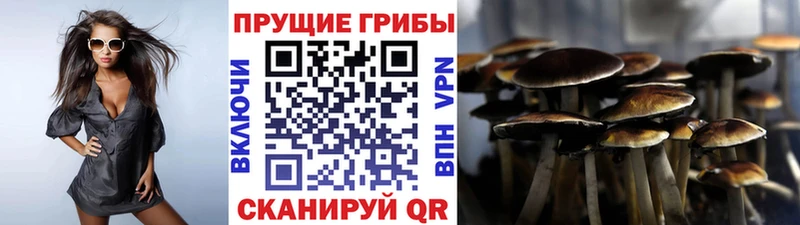 Галлюциногенные грибы Magic Shrooms  Феодосия 