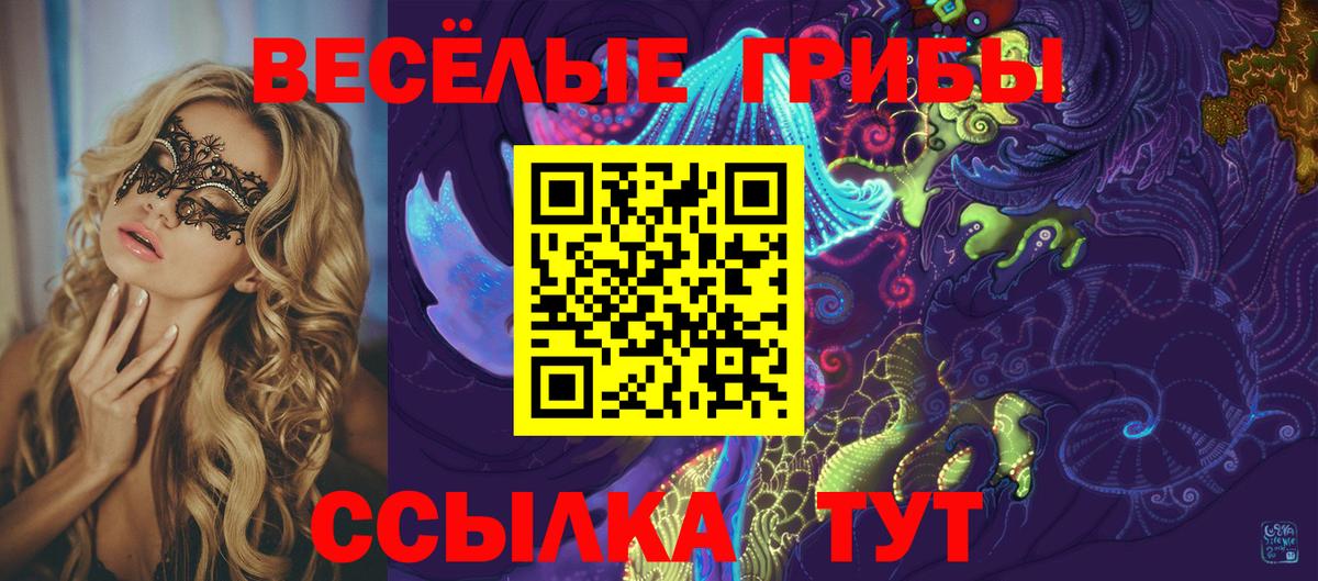 Галлюциногенные грибы Psilocybine cubensis Феодосия